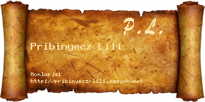 Pribinyecz Lili névjegykártya